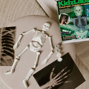 Набор 4M 00-03375 «Юный врач. Скелет человека», изображение 1