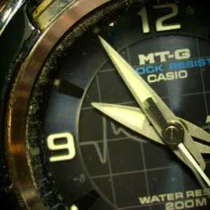 Микроскоп стереоскопический цифровой MAGUS Stereo D8T PLUS, изображение 19