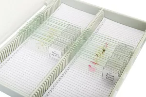 Набор микропрепаратов Bresser «Животные», 30 шт., в кейсе, изображение 3