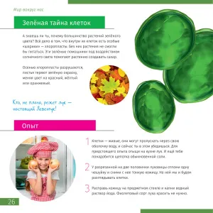 Микроскоп цифровой Levenhuk Discovery Femto Polar с книгой, изображение 6