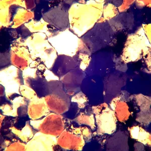 Микроскоп поляризационный цифровой MAGUS Pol D850, изображение 26