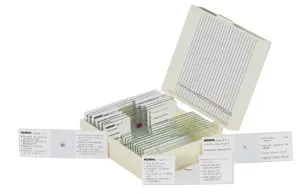 Набор микропрепаратов Konus 10: «Биология» (часть 2), изображение 2