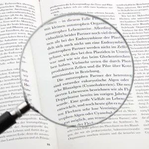 Лупа на ручке Veber 3x, 100 мм (1028), изображение 2