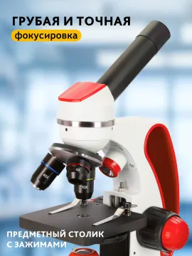 Микроскоп Levenhuk Discovery Pico с книгой, изображение 19