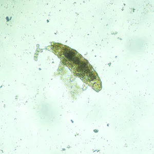 Микроскоп биологический инвертированный MAGUS Bio V300, изображение 14