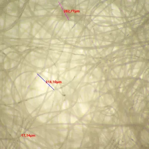 Микроскоп стереоскопический цифровой MAGUS Stereo D9T, изображение 24